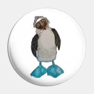 Blue footed booby bird Pin