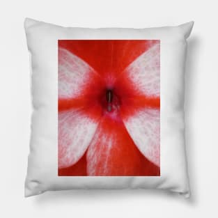 closeup macro photography of bright red and white dahlia bloom Pillow