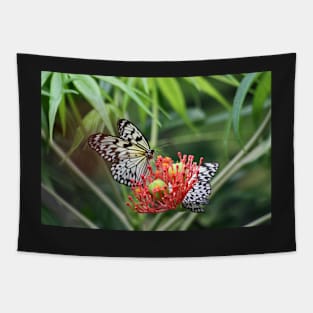 Butterflies Tapestry