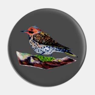 Northern Flicker Pin