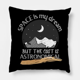 Space is my dream but the cost is ASTRONOMICAL Pillow