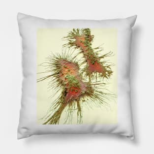 Microglia, SEM (C028/8615) Pillow