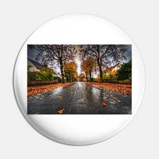 Rainy Autumn Road Pin