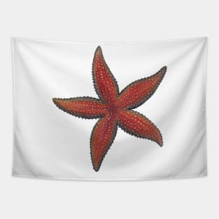 Common Sea Star Lg Tapestry