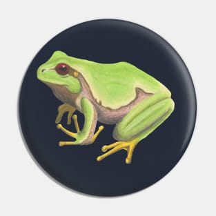 European Tree Frog :: Reptiles and Amphibians Pin