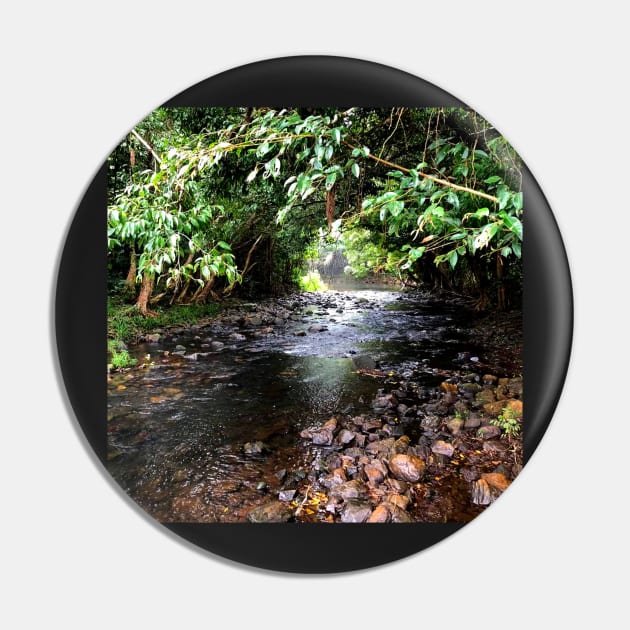 Quiet Mountain Stream Pin by Felicity-K