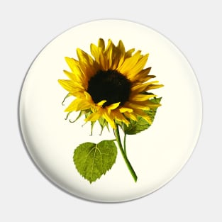 Sunflower Shadow and Light Pin