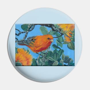 Tropical Hawaiian Bird: 'Akepa with Orange Ohia Pin