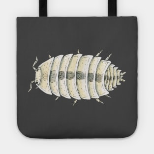 Trichorhina tomentosa "Dwarf White" Isopod Tote