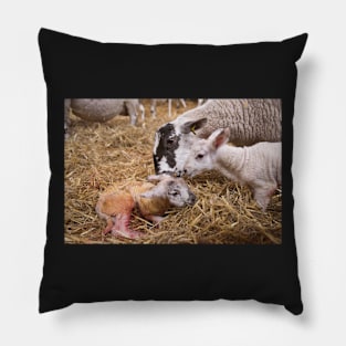 Family Photo Pillow