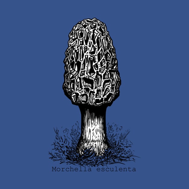 The Morel by MSerido