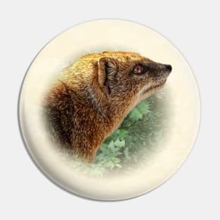 Yellow mongoose Pin