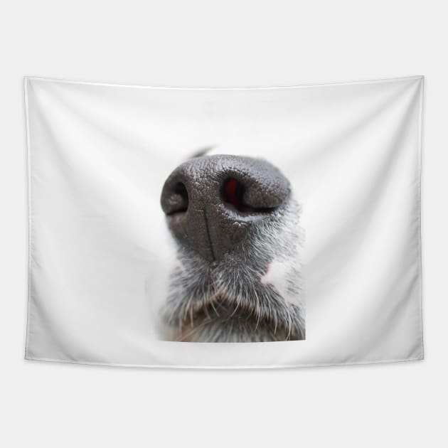 A Dog&#39;s Nose Always Knows Tapestry by karenadams