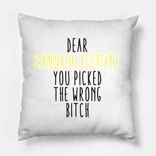 Dear Craniofacial Acceptance You Picked The Wrong Bitch Pillow