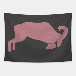 Aries minimalist Tapestry