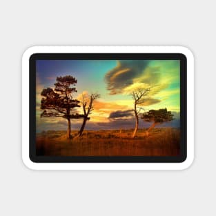 A Midsummer View Magnet