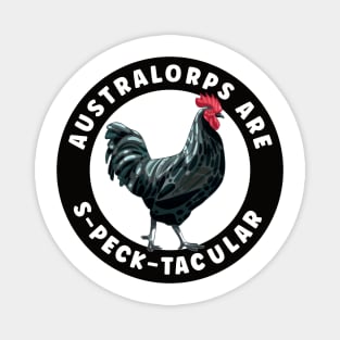 Australorps Are S-Peck-Tacular Chicken Magnet