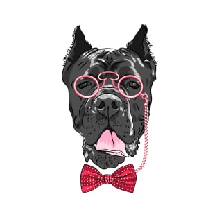 Hipster dog Cane Corso T-Shirt