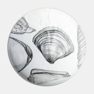 Sea Shells 4 by Margo Humphries Pin