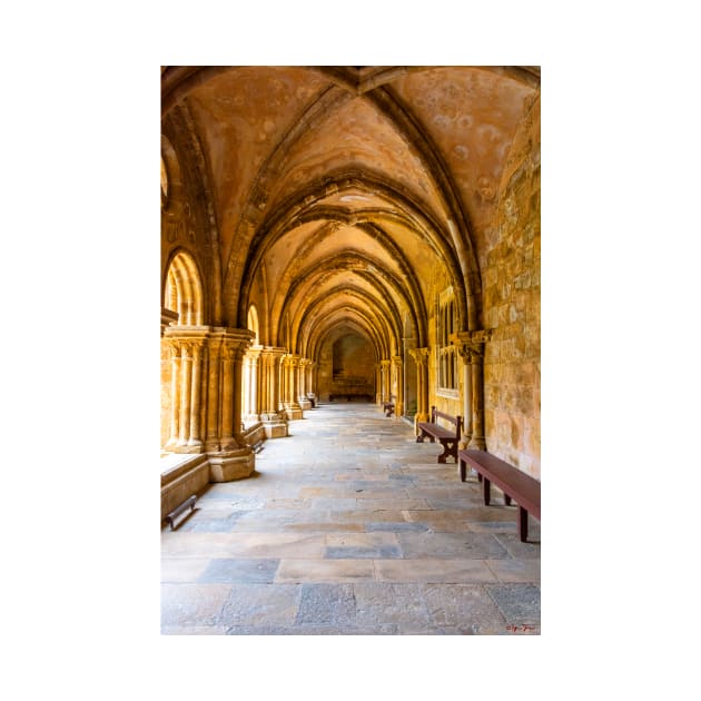 The Cloister at the Old Coimbra Cathedral by BrianPShaw