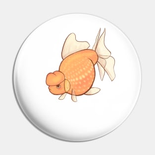 Cute pearlscale goldfish - chubby cute fish Pin