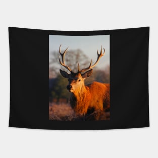 Solitude of the Stag Tapestry