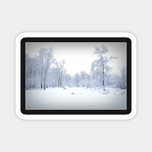 Snow covered pond. Magnet