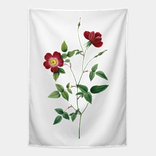 Tiny Red Rose Flower Botanical Illustration Tapestry