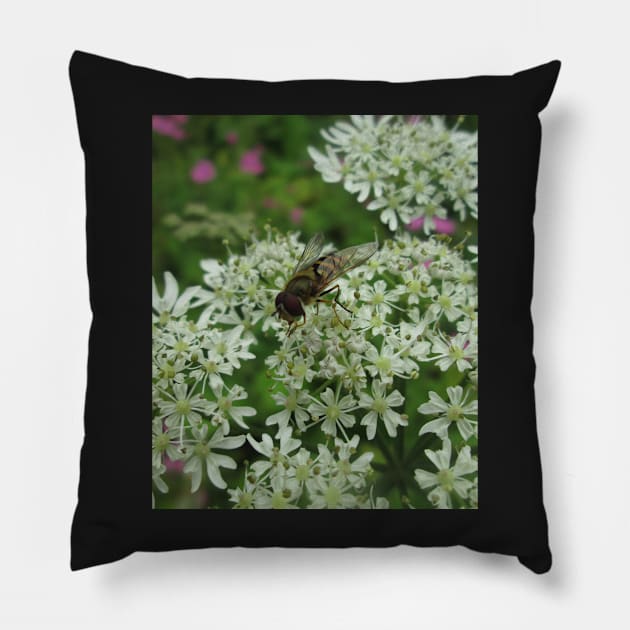 Hornet Mimic Hoverfly Pillow by MagsWilliamson