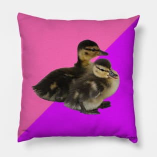 Baby Ducks on Pink Raspberry and Purple Sorbet Pillow