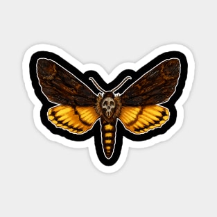 Death's Head Moth Magnet