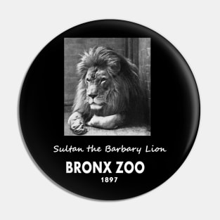 ART OF ZOO - LIONPHOTOGRAPH- SULTAN THE BARBARY LION, BRONX ZOO -1897 Pin