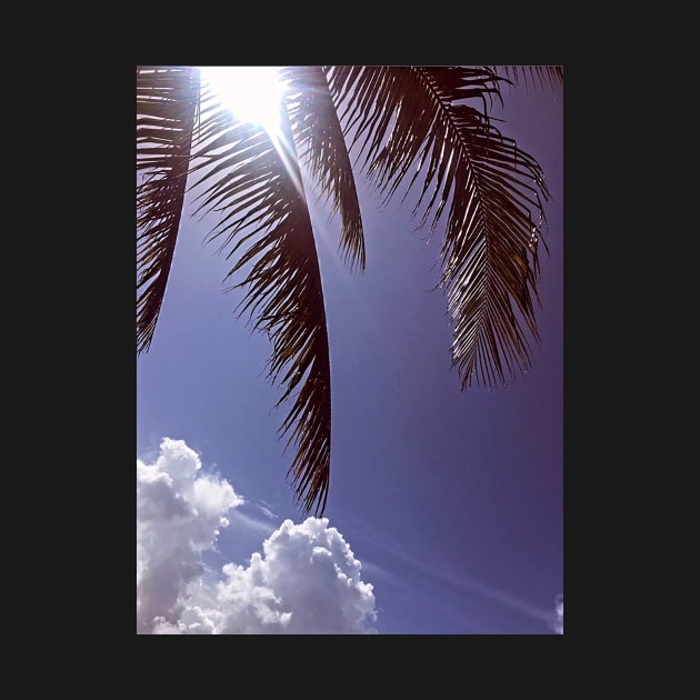 Palm Tree Leaves by SoCalDreamin