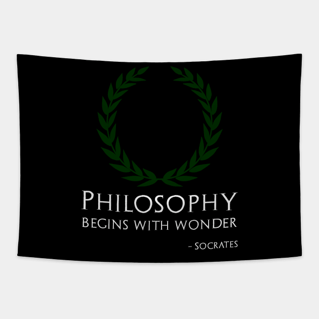 Ancient Greek Philosopher Socrates Quote On Philosophy Tapestry by Styr Designs