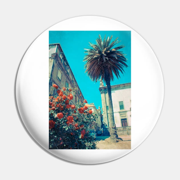 Mediterranean Pin by calamarisky