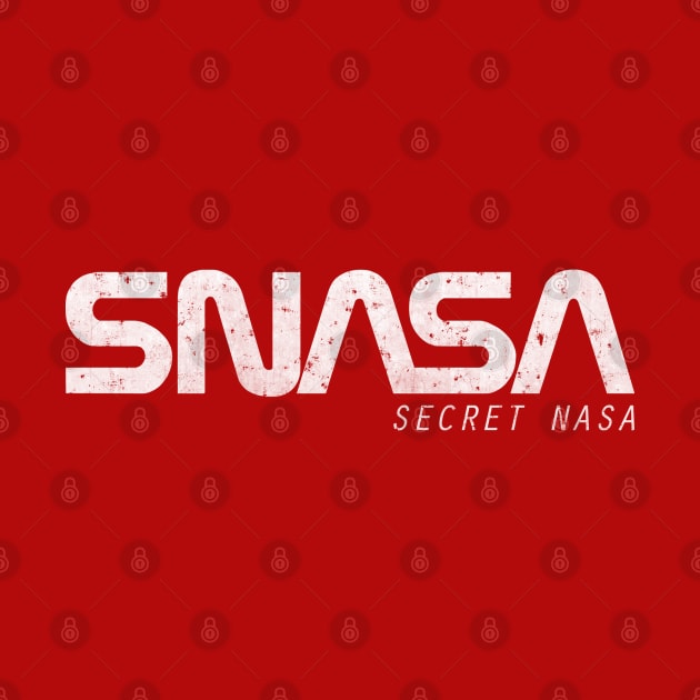 SNASA (Secret NASA type) by LiRoVi