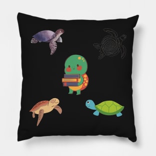 Turtles 5 pk Stickers Collection Pillow