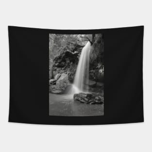 Girrakool Waterfall In Black & White Tapestry