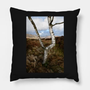 Silver on the Fell Pillow