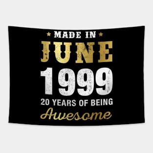 Made in June 1999 20 Years Of Being Awesome Tapestry