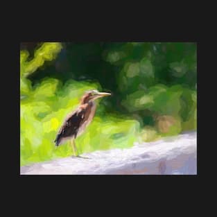 Young Tricolored Heron Standing on Guardrail T-Shirt