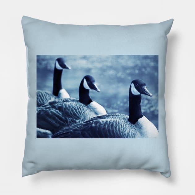 All In a Row... Pillow by LaurieMinor