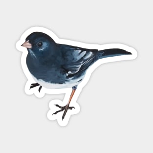 Dark-eyed Junco - bird painting (no background) Magnet
