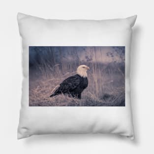 Grounded Eagle Pillow