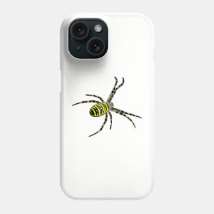 Wasp spider Argiope bruennichi Phone Case