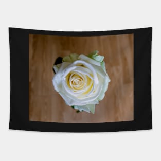 White rose on wooden background. Tapestry