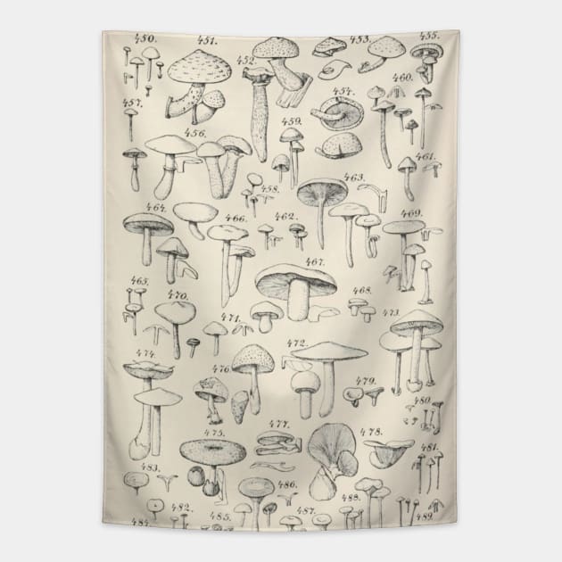 Naturalist Mushrooms Tapestry by bluespecsstudio