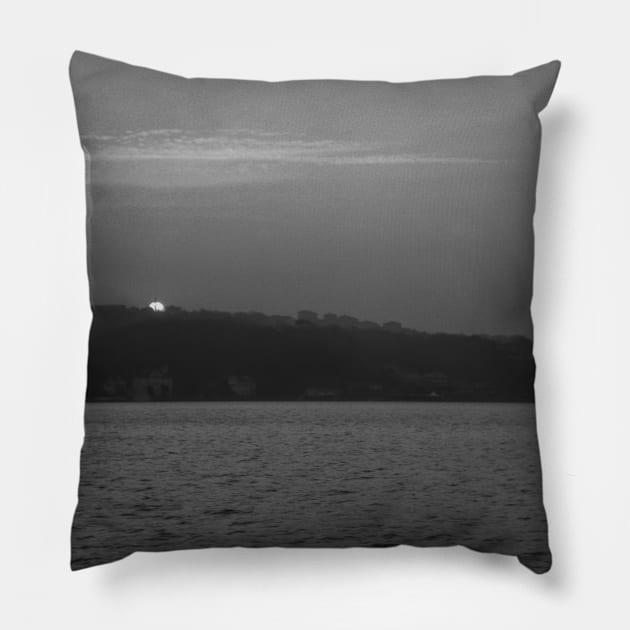 Seaside Landscape Pillow by SaleenaStudio