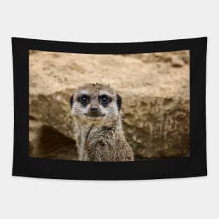 Meerkat Tapestry