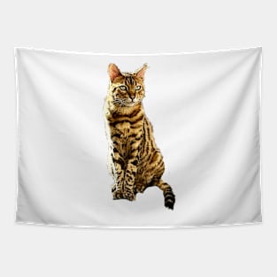 Bengal Cat (male) Tapestry